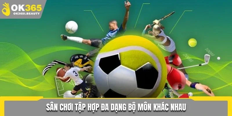 CMD tập hợp đa dạng bộ môn khác nhau
